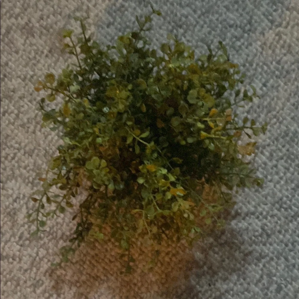 COPY - Green Eucalyptus Faux Floral Accent with Natural Wild-Growing Appearance
